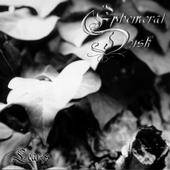 Ephemeral Dusk : Leaves